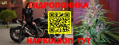 гидра Рыбинск